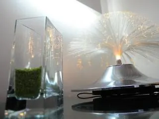 كاتانيا Sangiuliano114 B&B فندق مبيت وإفطار